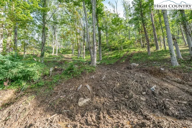 a view of outdoor space and trees