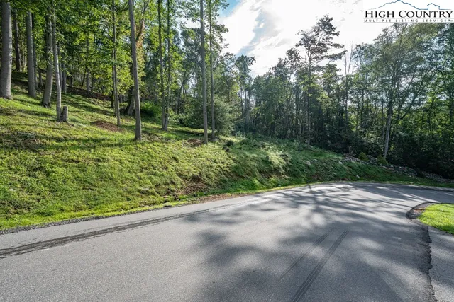 a view of a street with a trees