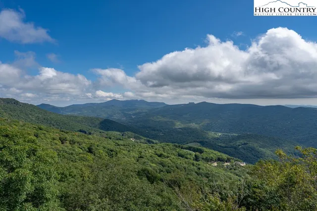 a view of a bunch of trees in background