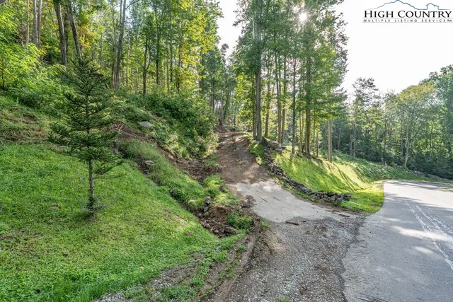 a view of a park with large trees