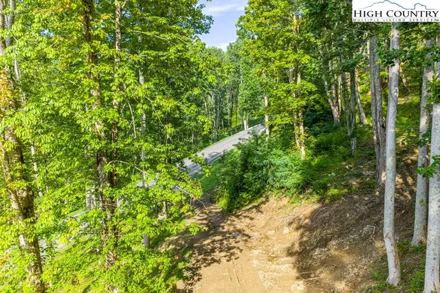 a view of a garden with plants