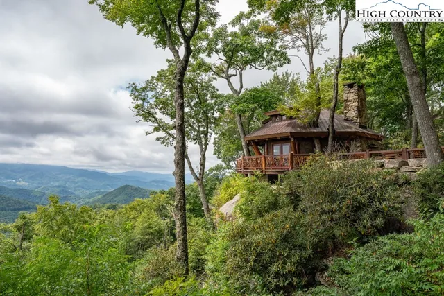 a view of a garden with plants and large trees
