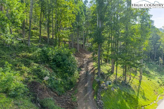 a backyard of a house with lots of trees