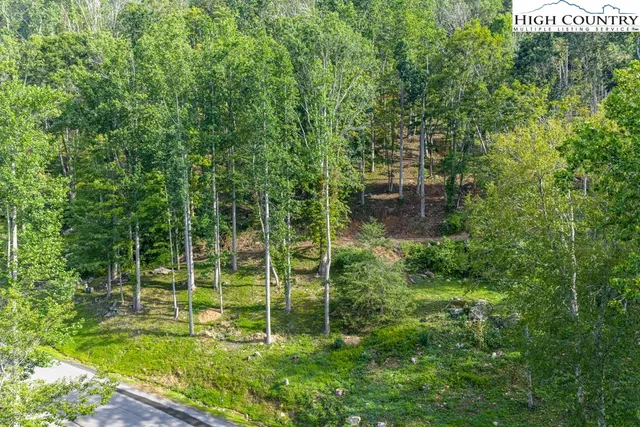a view of a chair and table in the garden