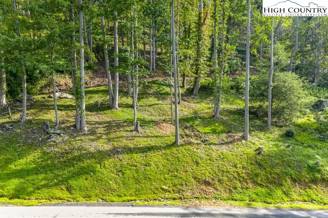 a view of an outdoor space