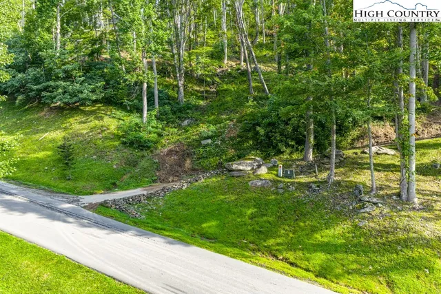 a view of backyard with green space