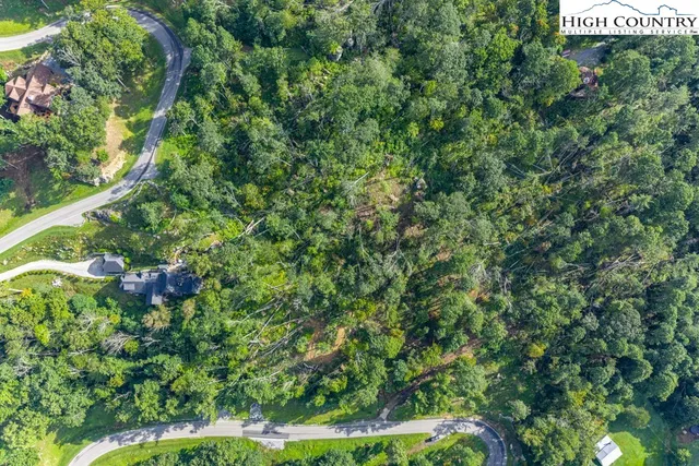 a view of a yard with plants