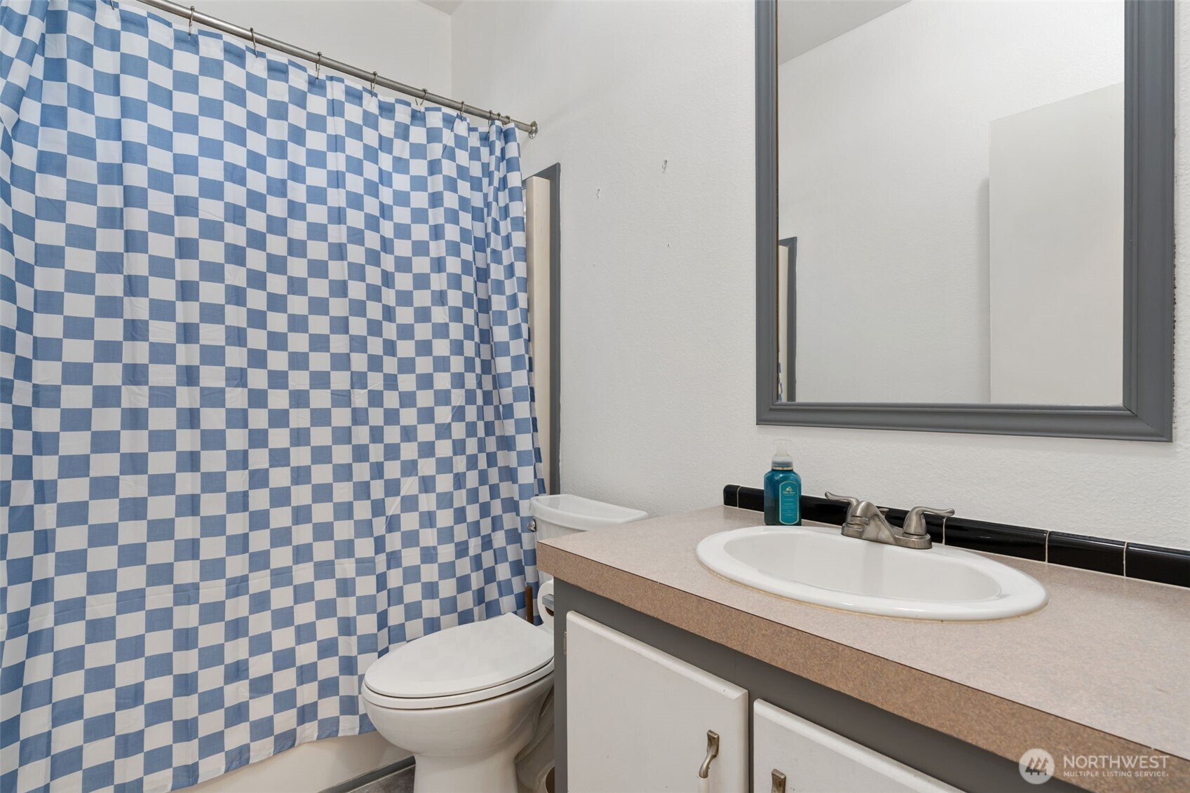 1332 Centralia Alpha Road Chehalis, WA 98532 - Photo 33 of 40 a bathroom with a sink and a mirror