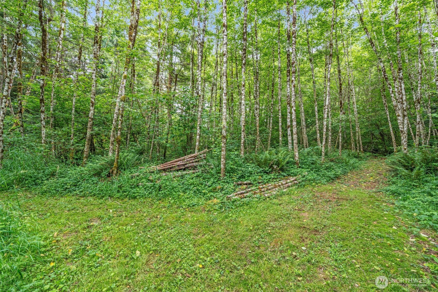 1332 Centralia Alpha Road Chehalis, WA 98532 - Photo 39 of 40 a view of a lush green forest