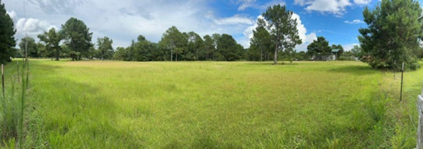 29139 Loper Road Loxley, AL 36551 - Photo 4 of 10 Yard