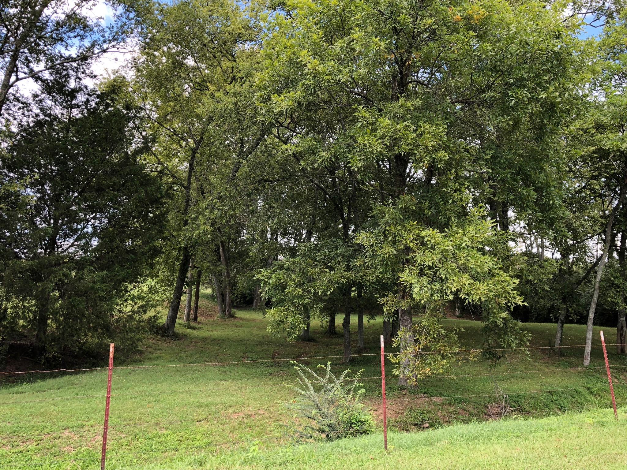 954 Franklin Road Gallatin, TN 37066 - Photo 7 of 9 Gallery Image 7