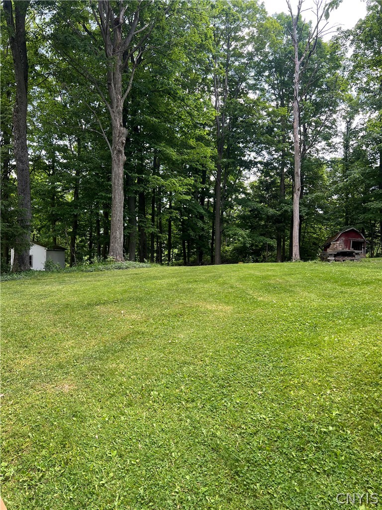 4982 Aitchison Road Onondaga, NY 13215 - Photo 25 of 26 fall in love with this tree lined mature lot