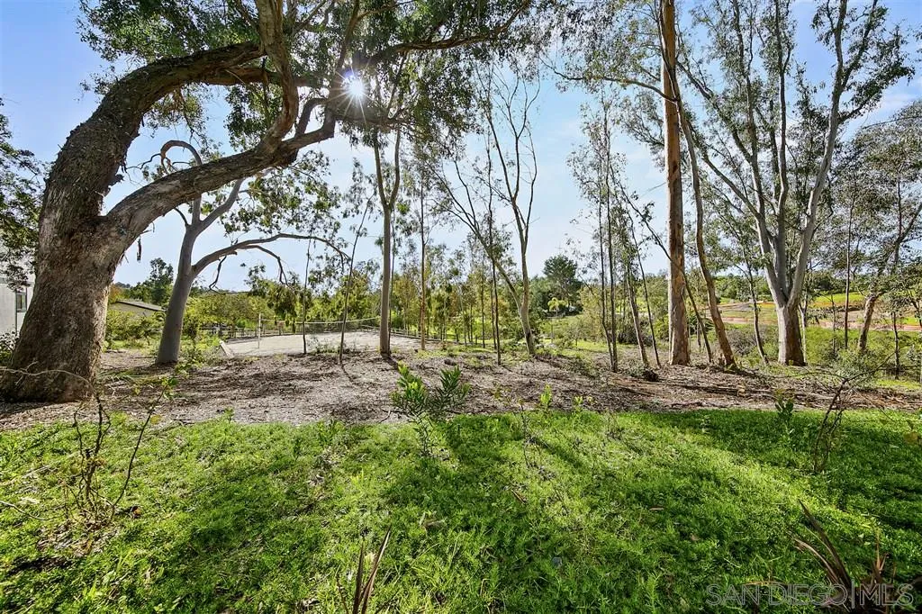 17502 Rancho Del Rio Rancho Santa Fe, CA 92067 - Photo 19 of 20 a view of backyard with green space