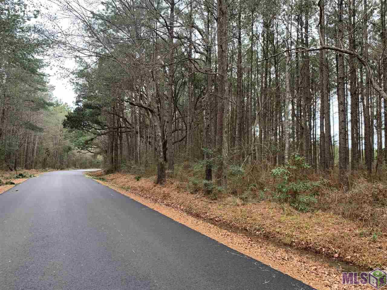 Lot 22 Nesom Road Denham Springs, LA 70706 - Photo 4 of 11 Nesom Road