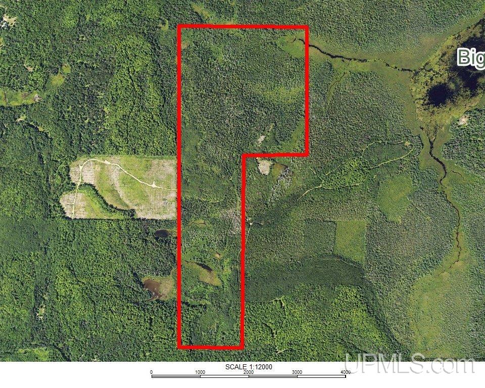 280-acres County Road CCN Road Negaunee, MI 49866 - Photo 47 of 48