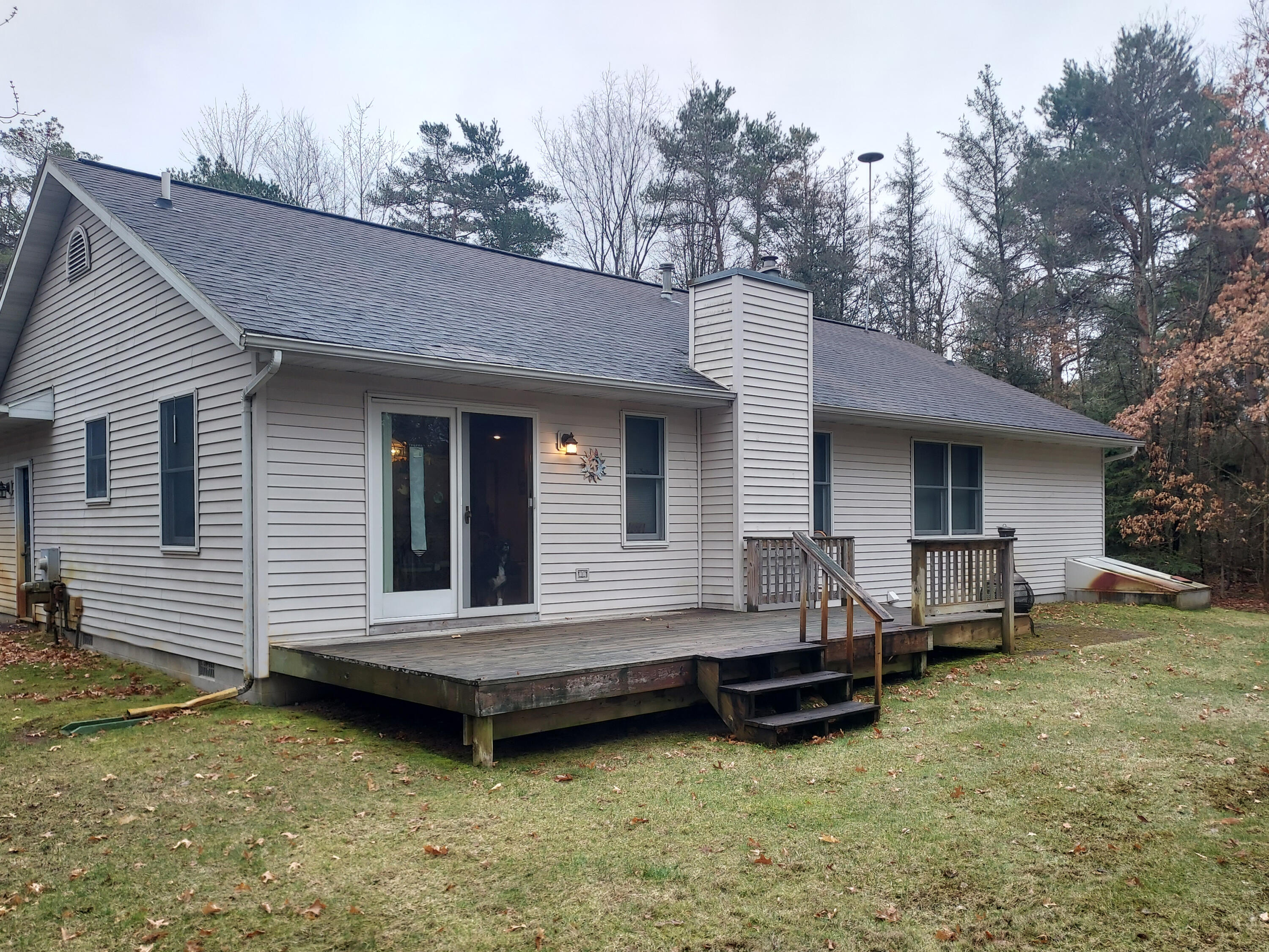 8161 Red Fox Road Canadian Lakes, MI 49346 - Photo 24 of 29 24 Back View