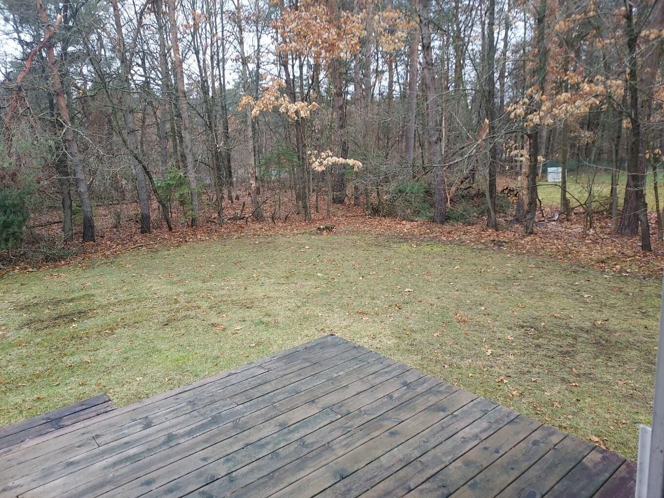 8161 Red Fox Road Canadian Lakes, MI 49346 - Photo 26 of 29 26 Yard
