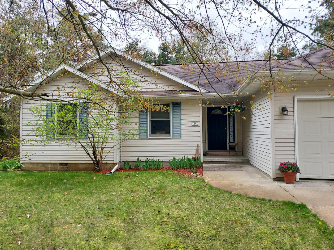 8161 Red Fox Road Canadian Lakes, MI 49346 - Photo 27 of 29 27 Front View