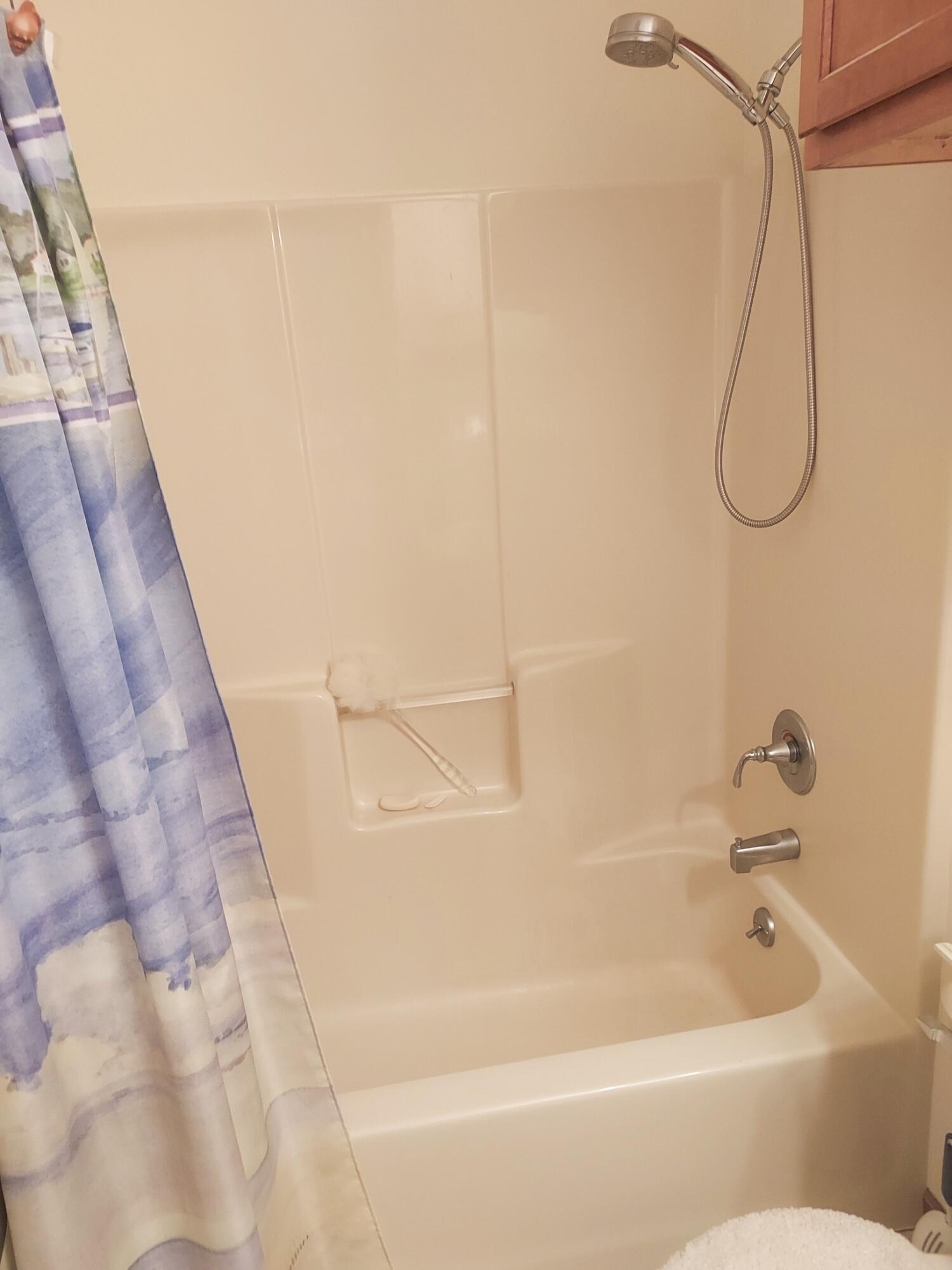 8161 Red Fox Road Canadian Lakes, MI 49346 - Photo 9 of 29 9 Tub