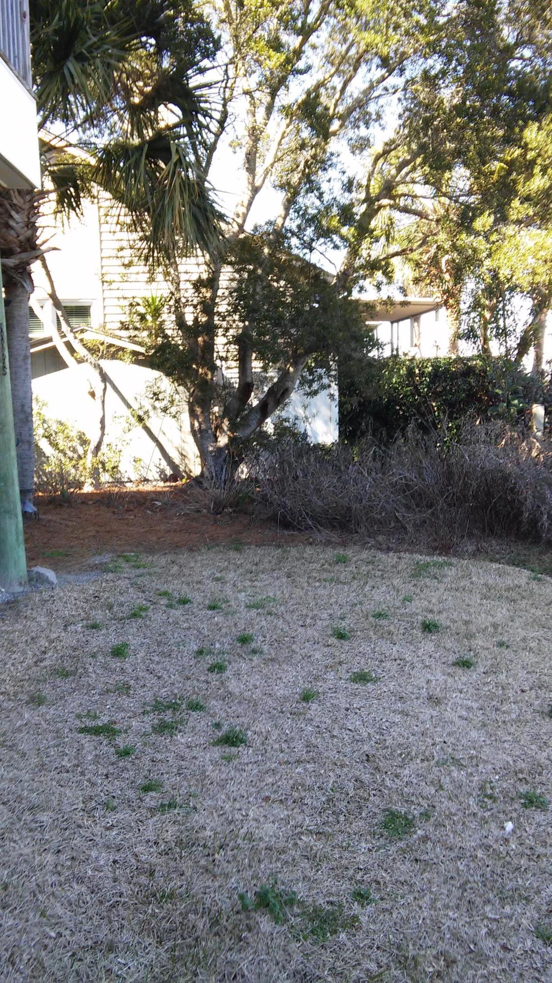 2224 Folly Road Folly Beach, SC 29412 - Photo 11 of 15 back yard 2.jpg
