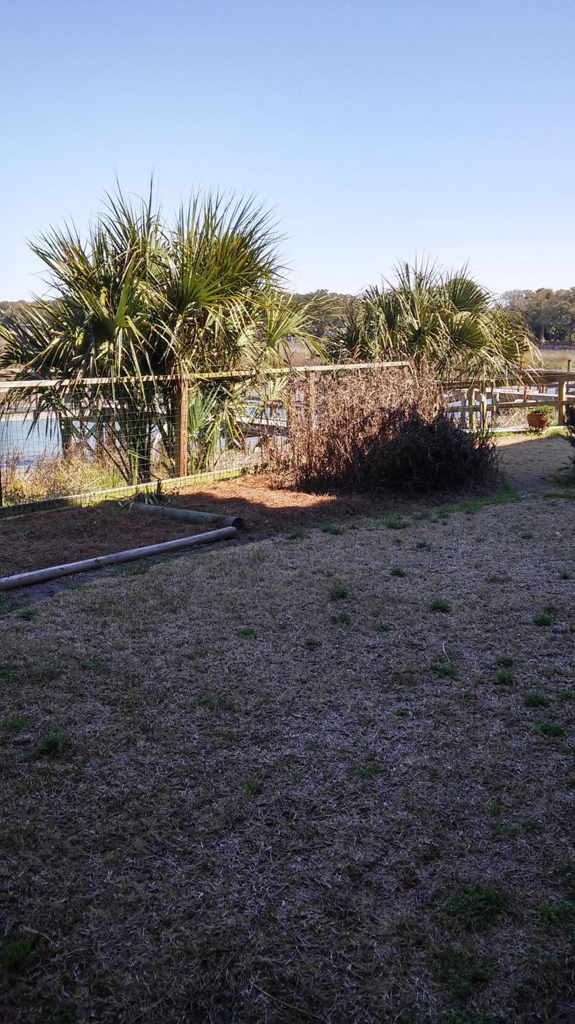 2224 Folly Road Folly Beach, SC 29412 - Photo 12 of 15 back yard.jpg