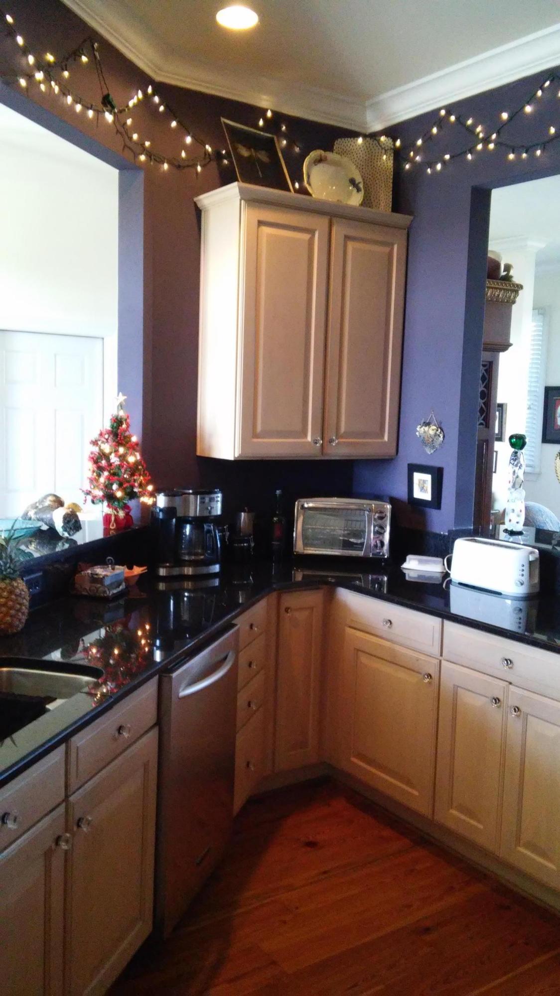 2224 Folly Road Folly Beach, SC 29412 - Photo 9 of 15 kit1.jpg