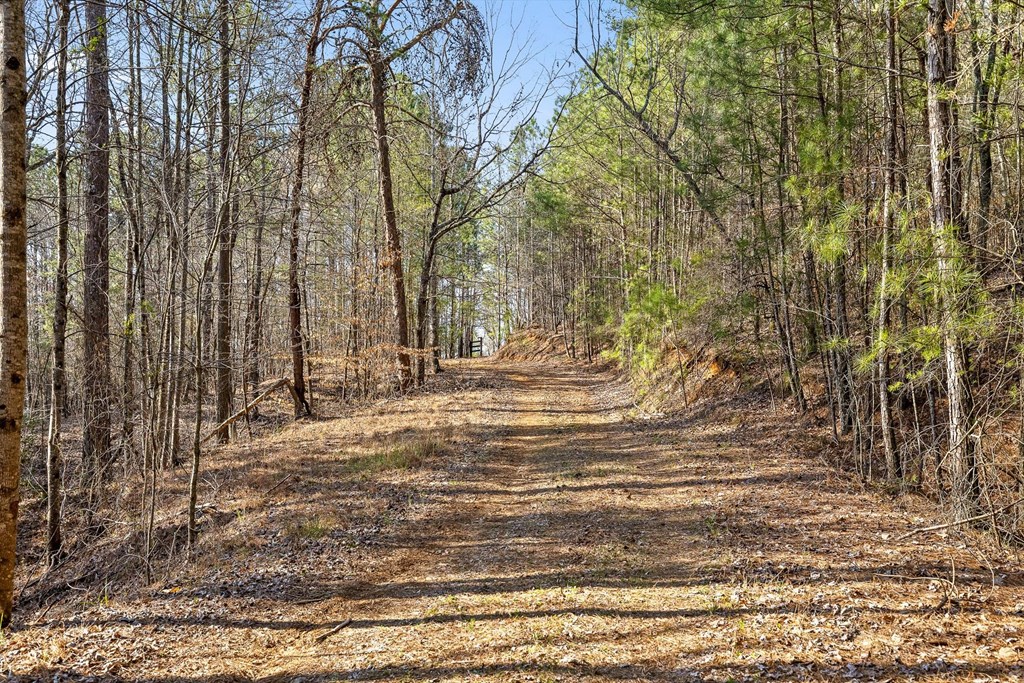 3 Carver Mill Road Jasper, GA 30143 - Photo 9 of 46 Gallery Image 9