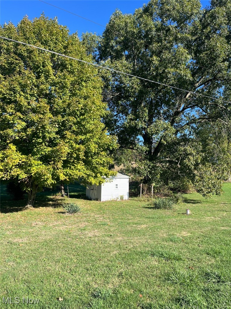 2081 Antigua Road Southwest Carrollton, OH 44615 - Photo 4 of 15 View of grassy yard with a storage unit and view of scattered trees