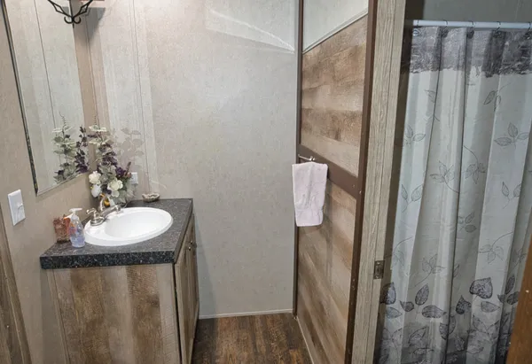 a bathroom with a sink a mirror and a shower