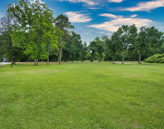a view of a trees in a field