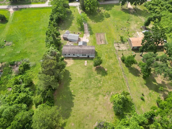 a view of a yard with plants