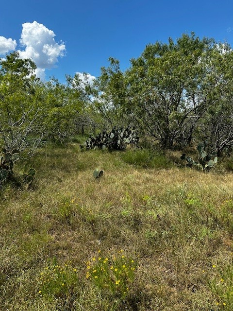 5 Private Road Waelder, TX 78959 - Photo 3 of 9