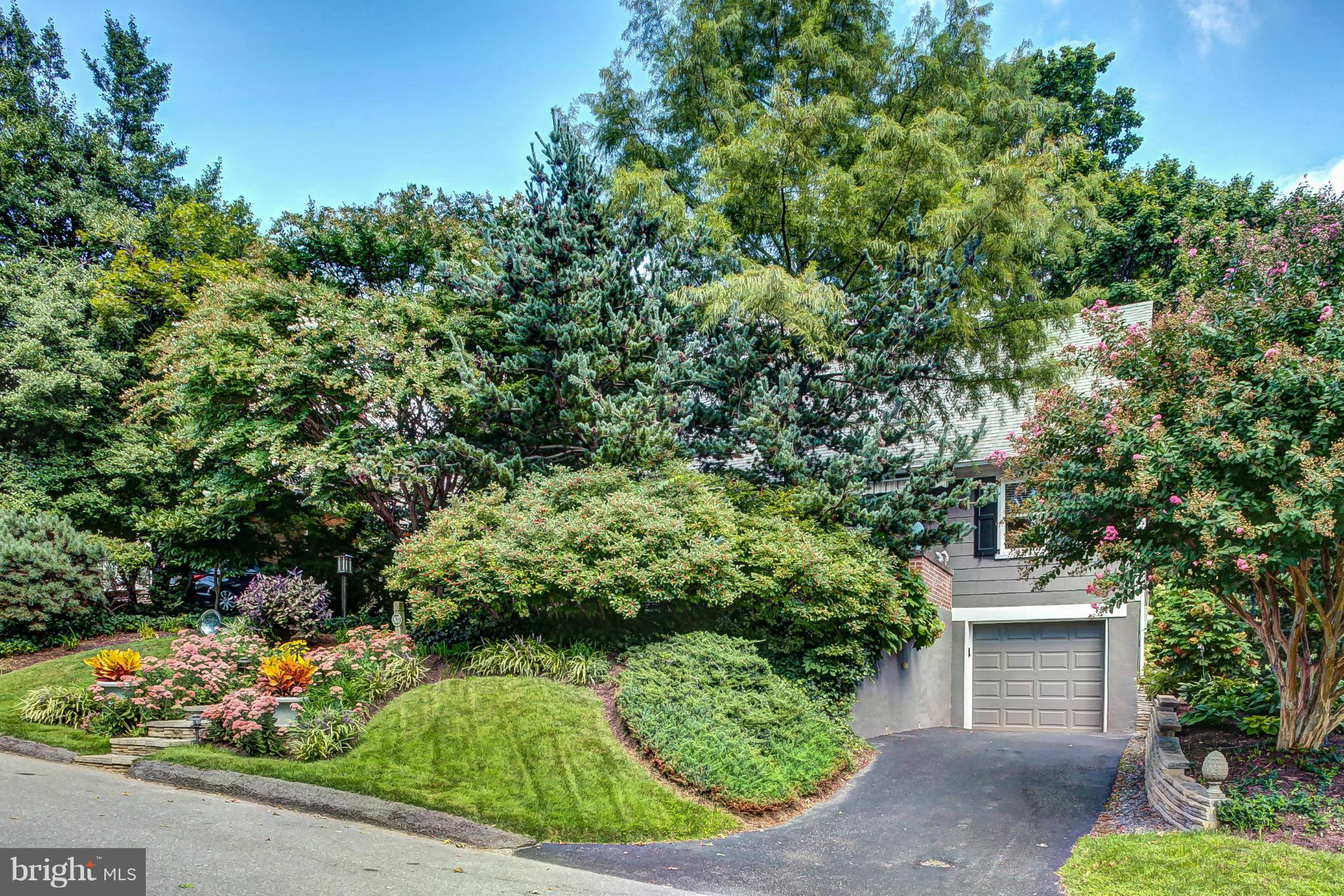 807 Rowen Road Silver Spring, MD 20910 - Photo 3 of 30 Exterior (Front)