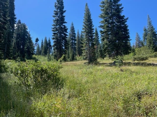 0 Big Creek Road Quincy, CA 95971 - Photo 1 of 19