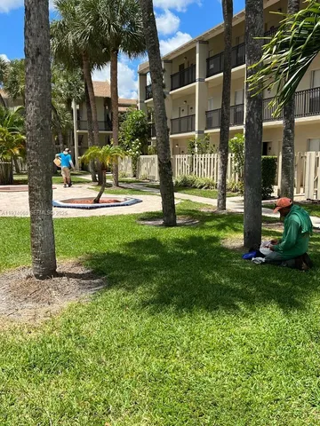 a garden with tall trees