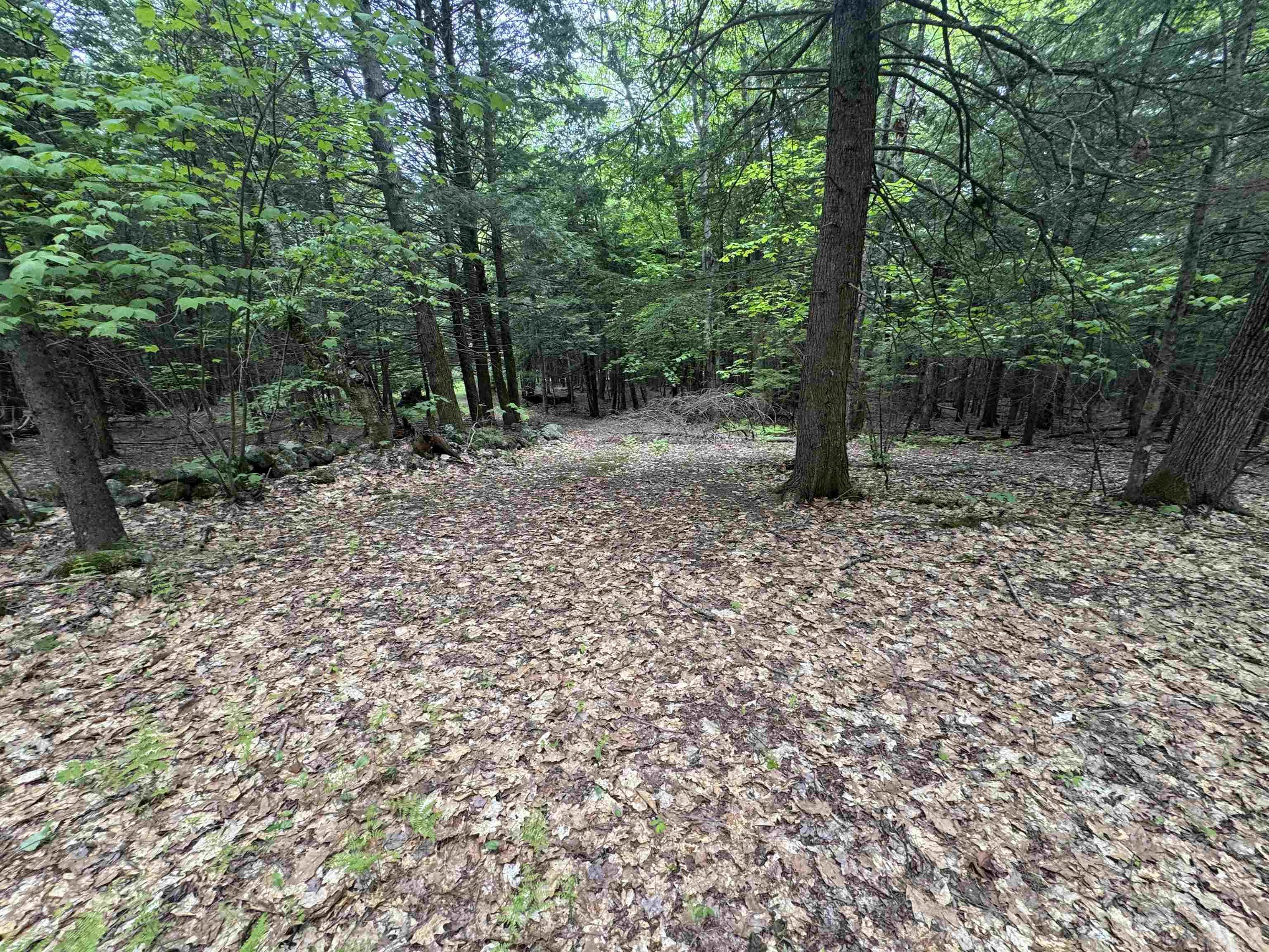Lot 13 Beach Pond Road Wolfeboro, NH 03894 - Photo 8 of 17