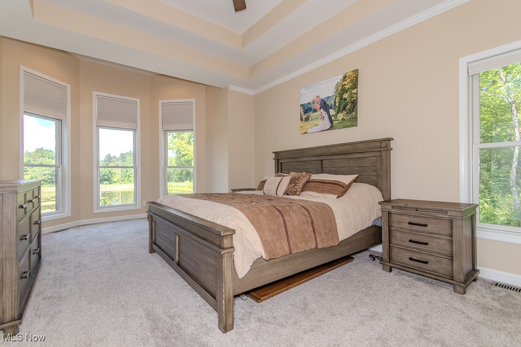 8675 Auburn Road Chardon, OH 44024 - Photo 11 of 35 Bedroom featuring a tray ceiling, carpet floors, and a ceiling fan