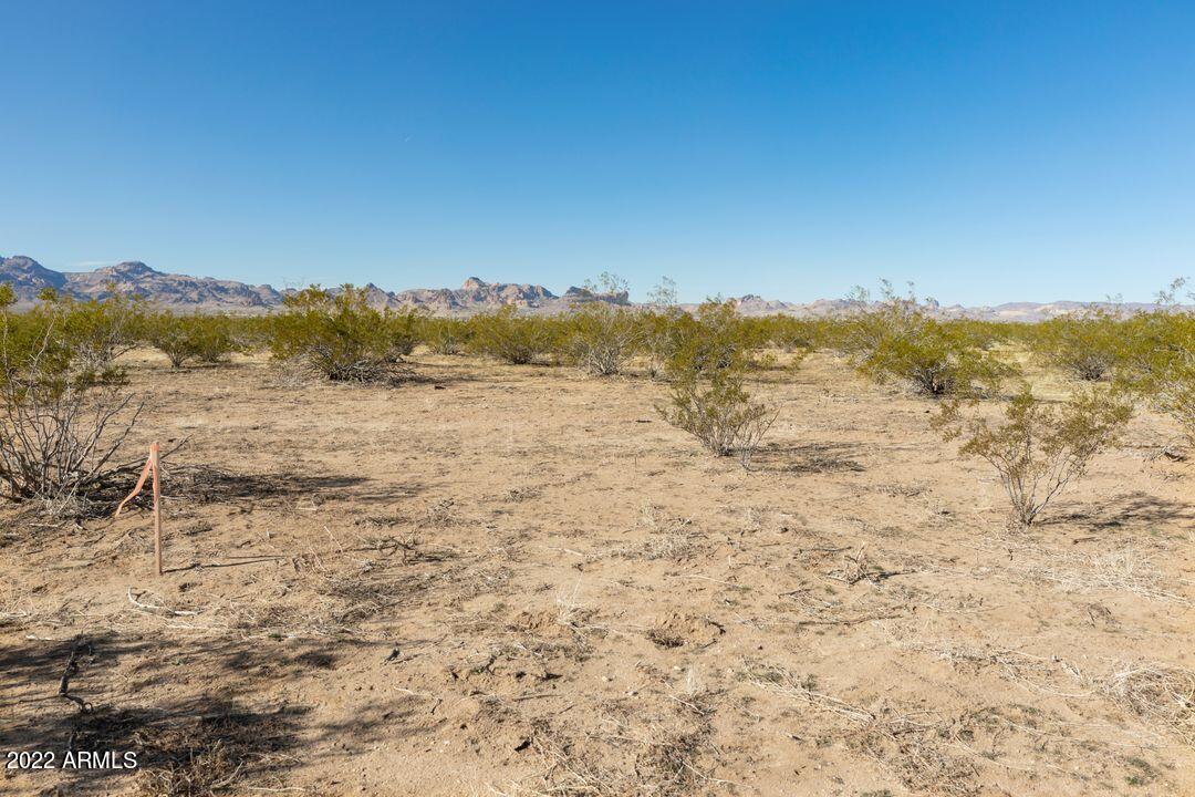 2145 South Verde Road Golden Valley, AZ 86413 - Photo 10 of 23 20