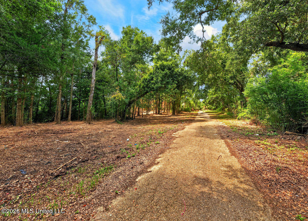 Bellview Avenue Moss Point, MS 39563 - Photo 1 of 16 BellviewAveLot-1