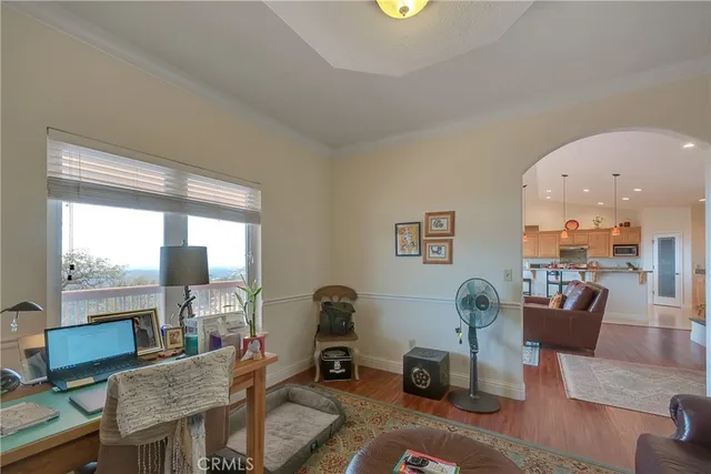 a view of a tree in the middle of a yard