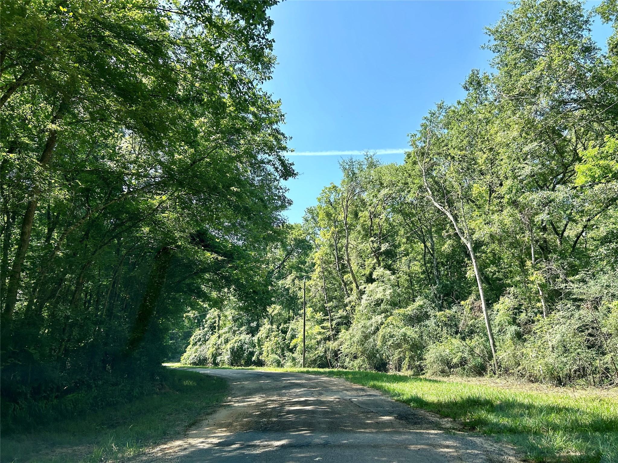 0 Royal Creek Road Conroe, TX 77303 - Photo 5 of 26 In front of LOT 471A (right), looking west. (July 2024)