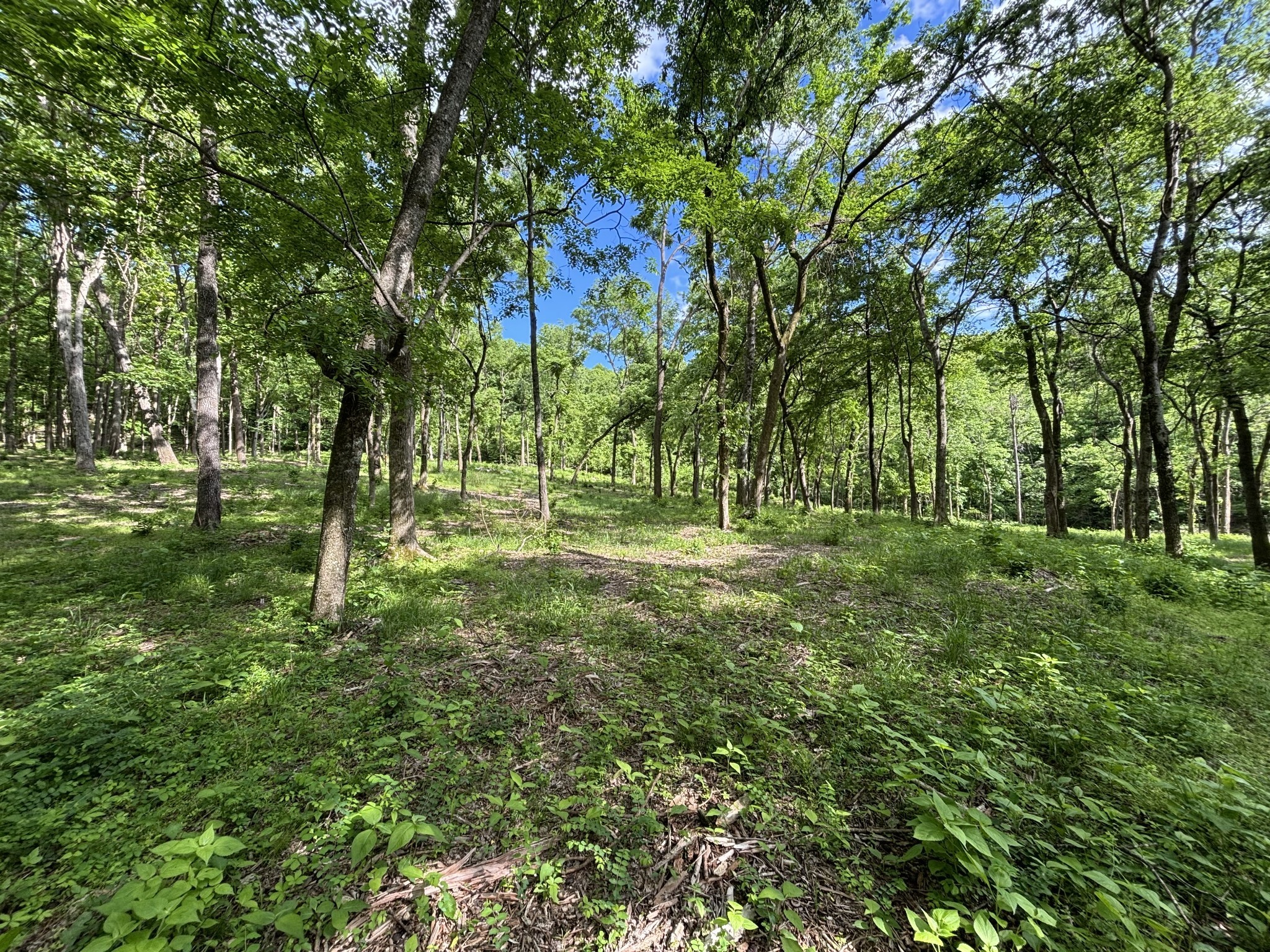 9205 Bowles Road Rockvale, TN 37153 - Photo 31 of 54 Gallery Image 31