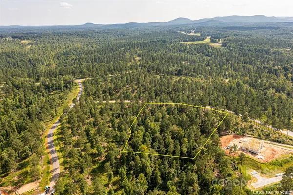 a view of a forest with a mountain