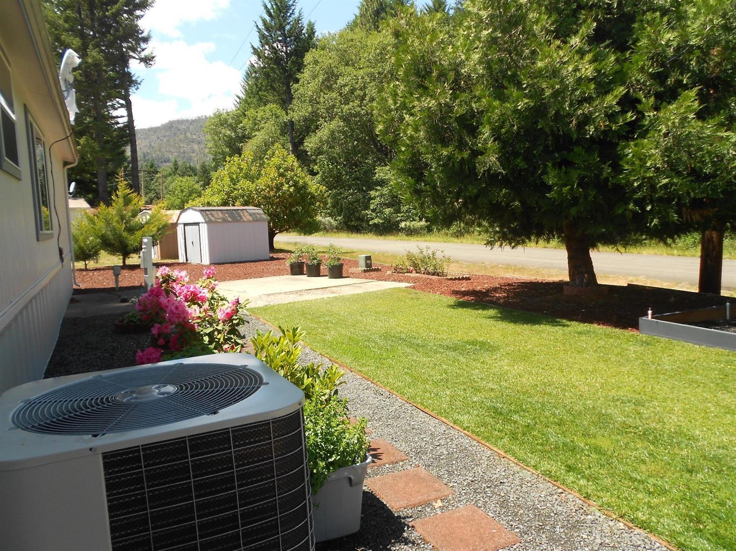 222 Ollis Road, Unit 7172 Cave Junction, OR 97523 - Photo 4 of 18 Small amount of lawn to take care of