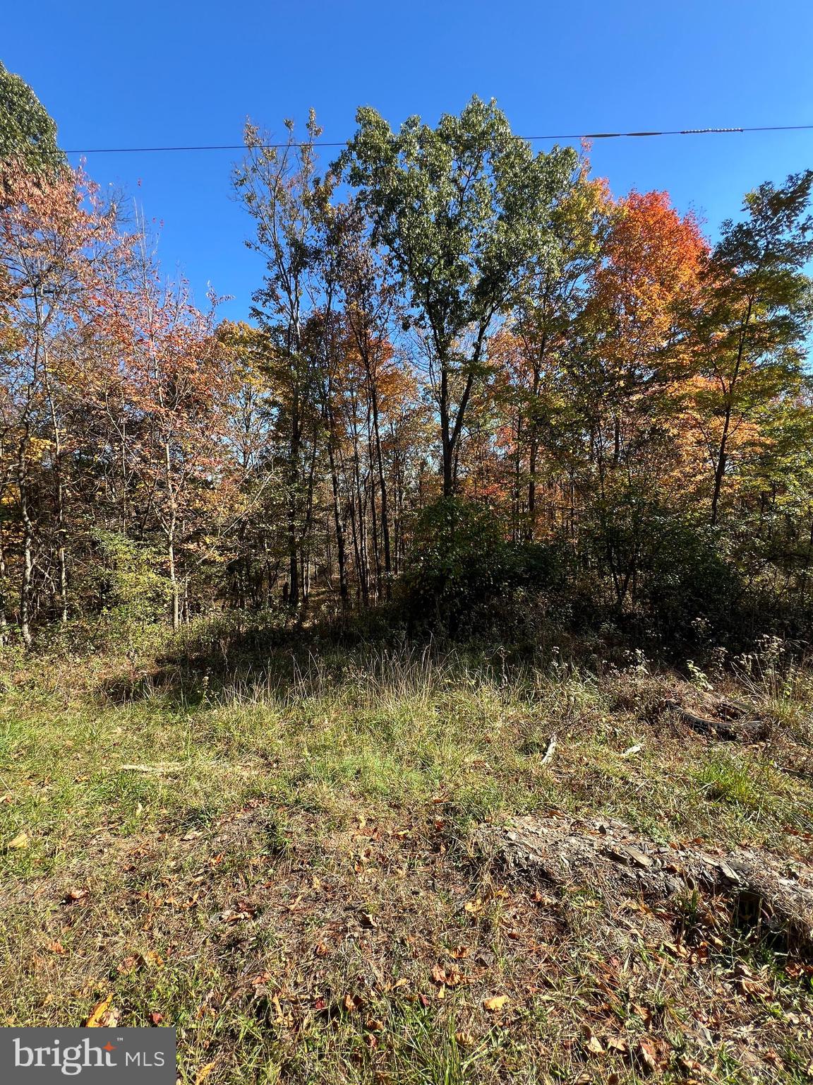 Old Cumberland Road Flintstone, MD 21530 - Photo 6 of 7 a view of a garden