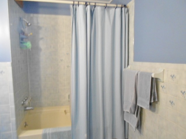 1619 East Madison Road St. Louis, MI 48880 - Photo 13 of 19 1835735-12.JPG