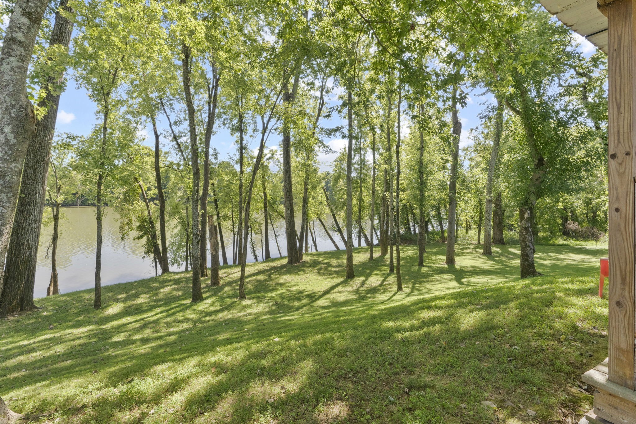546 Hiwassee Road Lebanon, TN 37087 - Photo 5 of 67 a view of swimming pool with a yard and trees