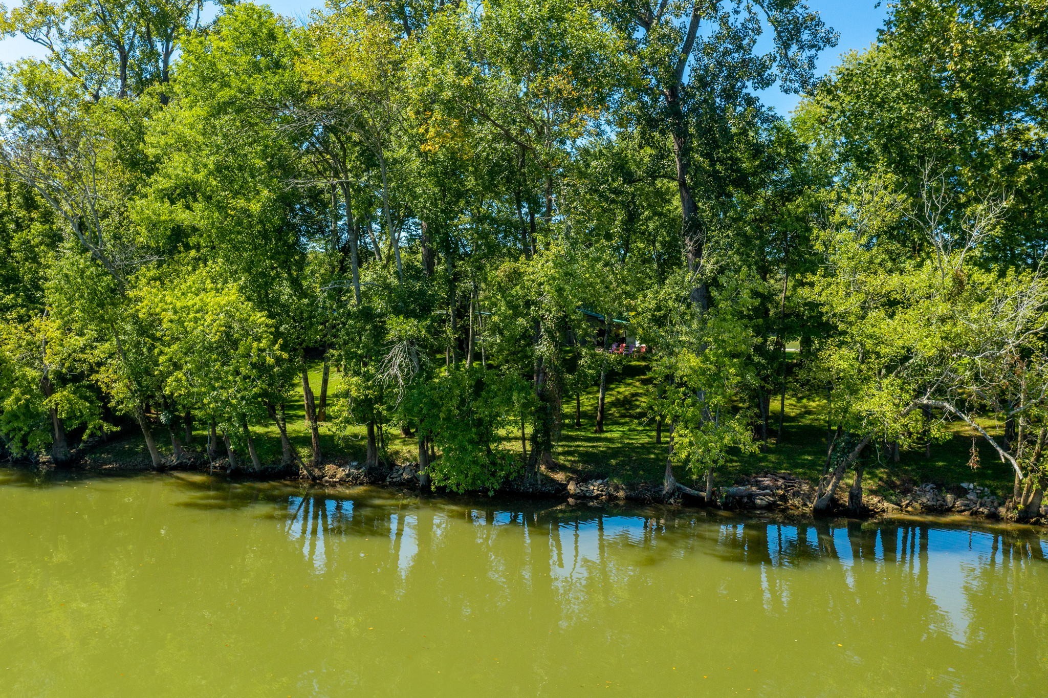 546 Hiwassee Road Lebanon, TN 37087 - Photo 64 of 67 a view of an ocean with trees