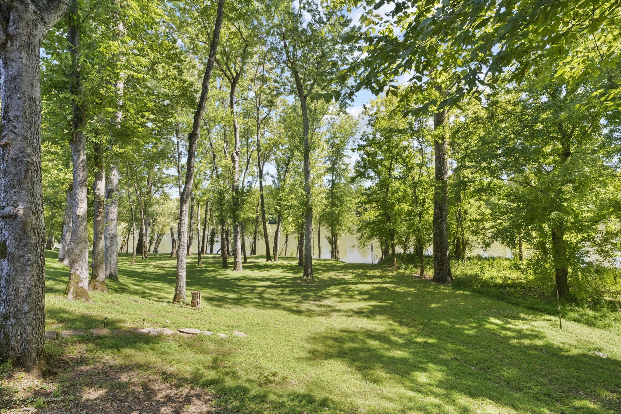 546 Hiwassee Road Lebanon, TN 37087 - Photo 65 of 67 a backyard of a house with lots of green space