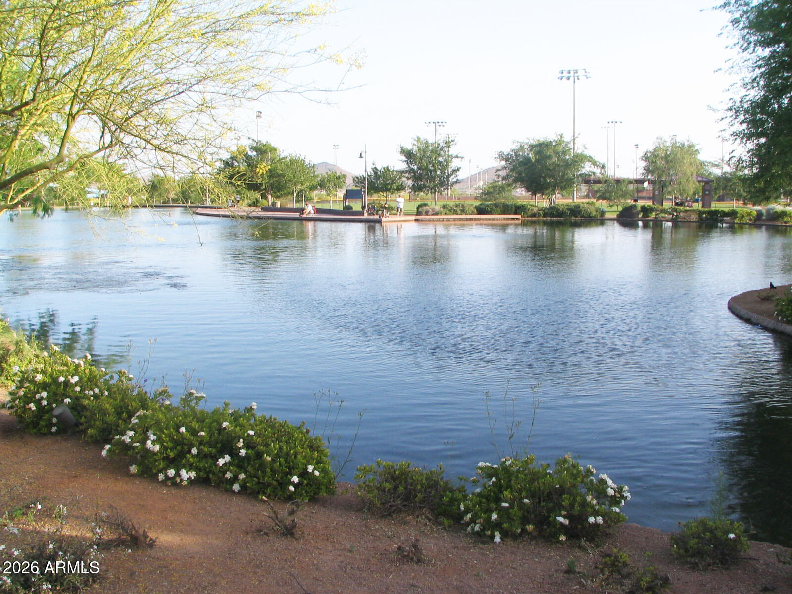 3330 West Ravina Lane Anthem, AZ 85086 - Photo 21 of 29 a view of a lake with houses with outdoor space